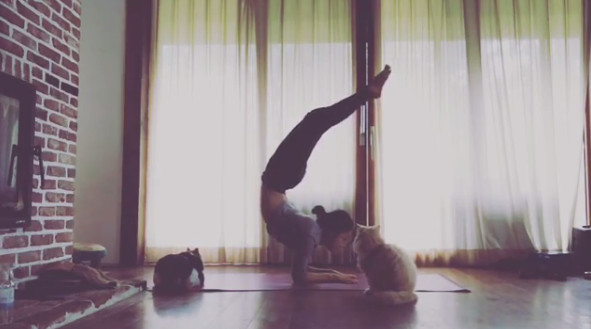 Hyori's yoga skills
